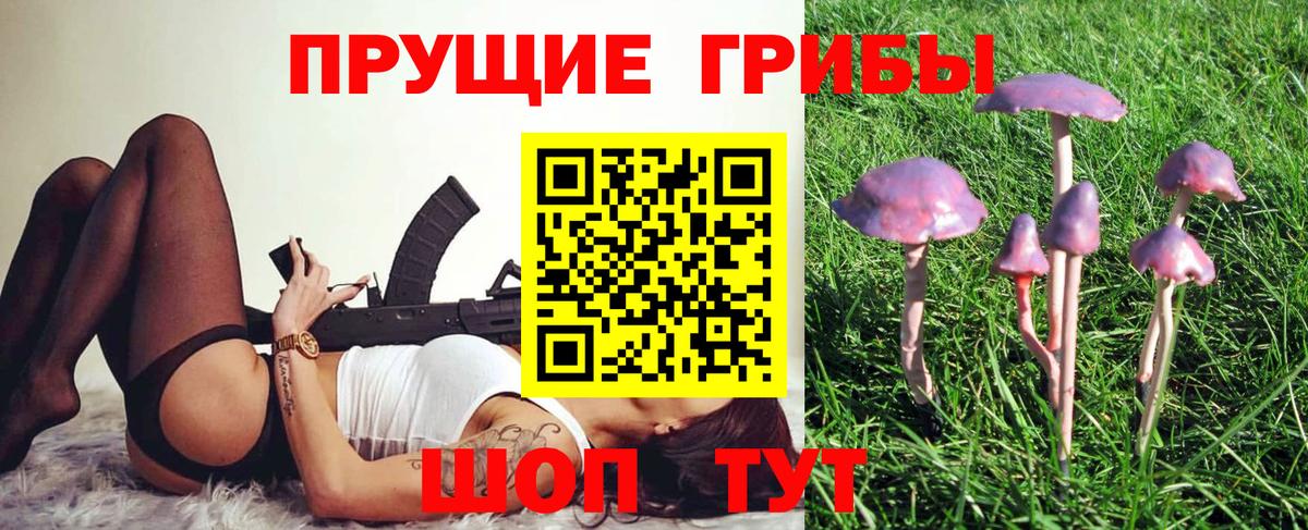 Псилоцибиновые грибы Psilocybe  Галлюциногенные грибы GOLDEN TEACHER  Вход с VPN  Воткинск 